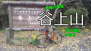 GIANT TCR ADVANCED 1 DISC KOM で行く 谷上山 四回目 愛媛の激坂 愛媛県伊予市 [upl. by Yessac871]