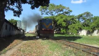 Tanzania Railways Dar commuter train with a YDM4 [upl. by Sorvats796]