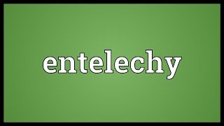 Entelechy Meaning [upl. by Lorrimor]