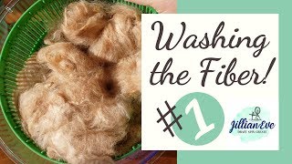 How to Spin Yarn from Alpaca  Washing the Fiber [upl. by Elset860]