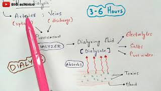 What is dialysis  Dialysis procedure  Bio science [upl. by Myrle]