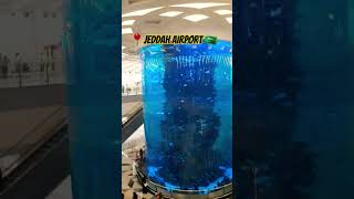 Jeddah Airport Saudi Arabia 🇸🇦🌴🥰 saudarabia travel shortvideo jeddah muslimcountry newvideo [upl. by Sage242]