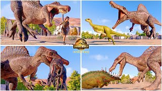 Spinosaurus All Perfect Animations amp Interactions 🦖 Jurassic World Evolution 2  JWE [upl. by Vincenty]