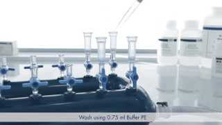 Protocol Plasmid DNA Purification using the QIAprep Spin Miniprep Kit and a Vacuum Manifold [upl. by Idroj]