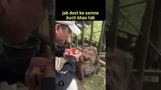 jab dost ke samne kuch khaaun to dost ka expression 🤣 monkey cute funny funnyanimals [upl. by Hurlow285]