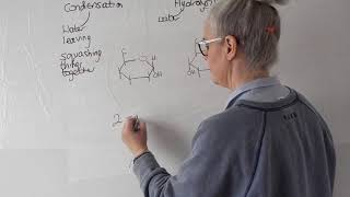 Condensation and hydrolysis reactions of glucose [upl. by Callie]