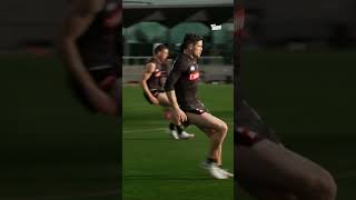 What do AFL Players say at Training 🗣️🔊 afl collingwood footy talking behindthescene [upl. by Anaujd325]