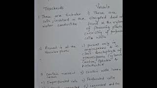 Differences between tracheids and vessels trachearyelements [upl. by Priestley619]