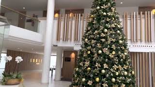 Guayarmina Princess Hotel Tenerife [upl. by Montana]