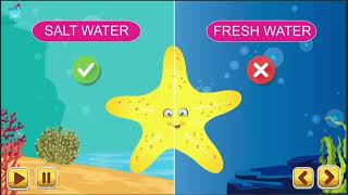 About Starfish Sea Animals  Starfish facts for kids  facts about sea star  Sea Star facts [upl. by Lladnarc226]