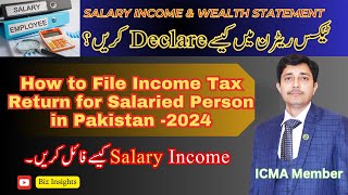 How to File Income Tax Return for Salaried Person in Pakistan  Income Tax Return Filing  ITR [upl. by Akkim906]