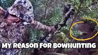 Bowhunt for groceries not trophies 🍖🥩🥓Heres why I hunt🤙🏿 [upl. by Noitsirhc]