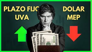 🛑 PLAZO FIJO UVA o DOLAR MEP❓¿Qué hacer con los PESOS tras las medidas de Milei y Caputo HSBC [upl. by Leizar]