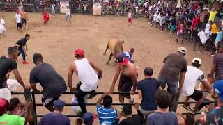 Montadas De Toros Granada Nicaragua 2019 3 [upl. by Assenat]