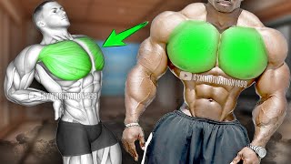 6 Exercises to Maximize Chest Growth [upl. by Juanita]