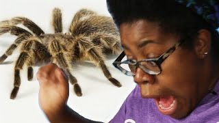 Coworkers Get Pranked With A Tarantula [upl. by Mintz]