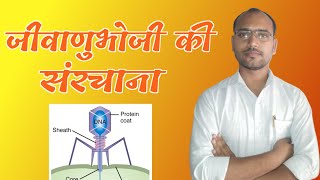 Structure Of Bacteriophage  T4 Bacteriophage  Microbiology  By Ashish Sir  Coliphage Virus [upl. by Yl]