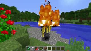 Change into Mobs and Use Their Abilities  Metamorph Mod Showcase [upl. by Earahs]