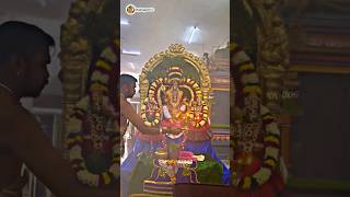 Intha Siva Ketta Vantha Nallavana Mattumtha Irukkanum  murugan whatsapp status  trending murugan [upl. by Johns464]