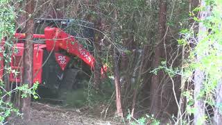 Clearing Land with Forestry Mulcher Transforming 25 Acres of Land for Homestead  off grid living [upl. by Gnuhc867]