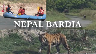 📍BARDIA NEPAL explorebardiya WildlifeInBardiya bardiyanationalpark [upl. by Kcered718]