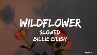 Billie Eilish  Wildflower slowed lyrics [upl. by Leasia699]