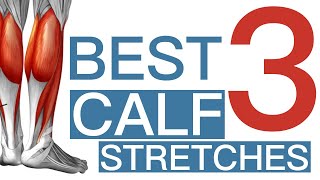 29 The 3 BEST calf stretches [upl. by Januisz]