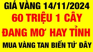 Giá vàng 9999 hôm nay  ngày 14122024  giá vàng hôm nay  giá vàng 9999  giá vàng 9999 mới nhất [upl. by Lynna]