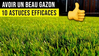 Comment Avoir un BEAU GAZON 10 Conseils de Pro  👍 [upl. by Annekcm892]