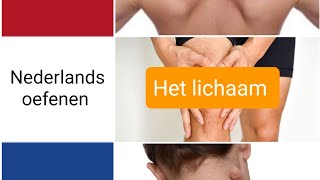 Het lichaam  body parts  woordenschat  Nederlands leren  NT2  learning Dutch [upl. by Zeni146]