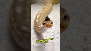 Watch how this hognose snake plays dead to survive shortsviral shortsfeed shortsvideo shorts [upl. by Ecnerrat]