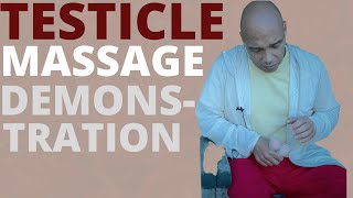 Testicle Massage and a GREAT Thrusting Technique Demonstration [upl. by Ydnec782]