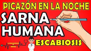 SARNA HUMANA  ESCABIOSIS⚡EXPLICACIÓN FÁCIL ¿Cómo se contagia Síntomas Diagnóstico y Tratamiento 📝 [upl. by Viveca]