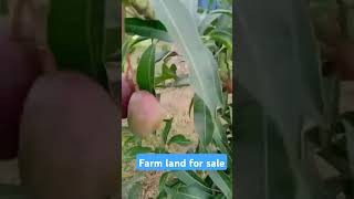 Farm land for sale [upl. by Morrie229]