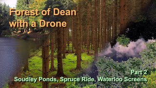 Forest of Dean with a Drone  Part 2  Soudley Ponds Spruce Ride amp Waterloo Screens [upl. by Nissy]