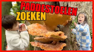 WE ZOEKEN PADDESTOELEN [upl. by Maltzman]