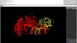 pymol 3 selecting parts of the protein [upl. by Mae]