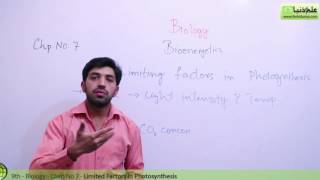 Matric part 1 Biology Limiting factors in Photosynthesis  Ch 7 Bioenergetics  9th Class Biology [upl. by Nosnorb]