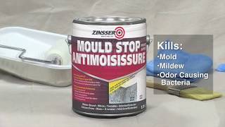 How To Apply Zinsser Mould Stop Primer [upl. by Alejo]