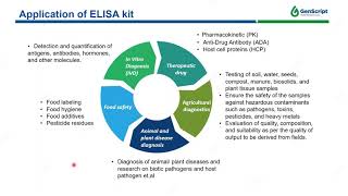 Tips for Successful ELISA kit Development [upl. by Kyl]