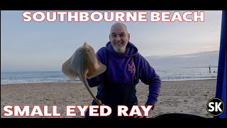 Southbourne Beach Fishing  Small Eyed Ray [upl. by Erreid]