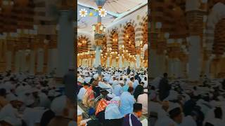 Hamne mana ke jannat bahut hai hasi song love naat ilovemadinasharif [upl. by Junji]