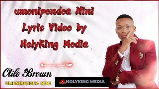 Otile Brown Ft Baraka the Prince  Umenipendea Nini Lyric Video by HolyKing Media [upl. by Akerley]