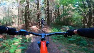 Bedgebury Forest ride with medway mountain bikes [upl. by Nabru]