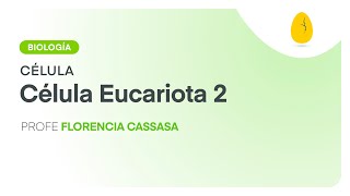 Célula eucariota 2  Biología  Célula  V3  Egg Educación [upl. by Casaleggio533]