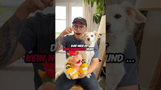 Was ist die BESTE Konsole nintendo playstation xbox hund vlog [upl. by Animrelliug308]