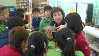 AMI Montessori Elementary training in Bergamo Italy [upl. by Aihsiek]