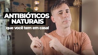 7 MELHORES ANTIBIÓTICOS NATURAIS  Dr Dayan Siebra [upl. by Nnylarak]