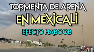 Impresionante Tormenta de Arena en Mexicali Efecto Haboob [upl. by Eelyam]