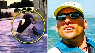 The Gruesome Killer Whale Attack On SeaWorld Trainer John Sillick [upl. by Longan]